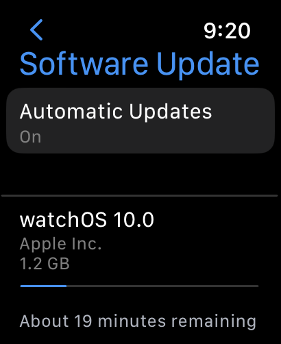 Screen grab of the Apple Watch, on the 'Software Update' screen, with 19 minutes remaining for the download.