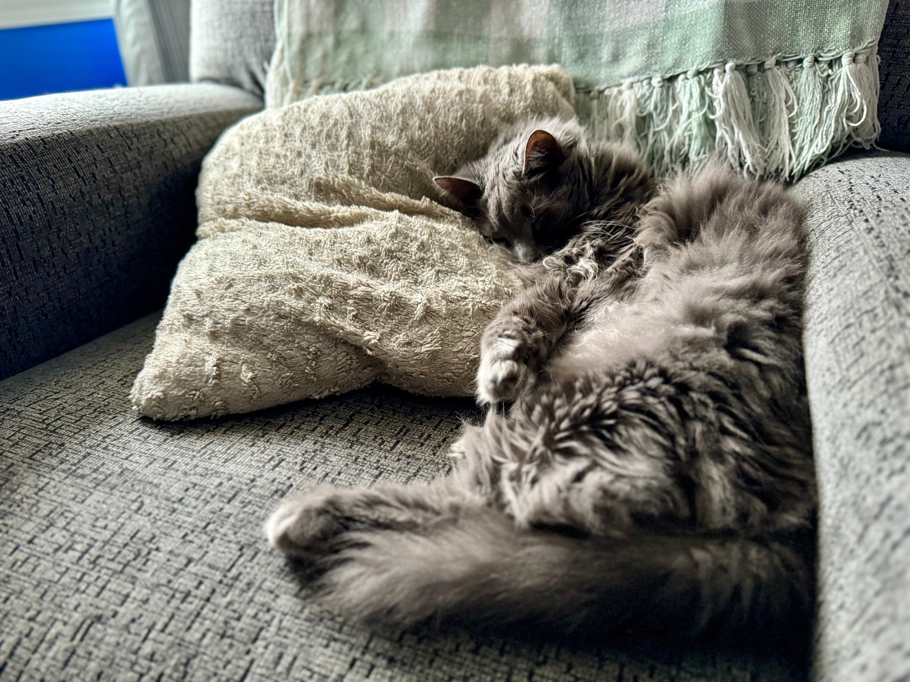 Grey cat, in a grey/green recliner, wedged into the side, between the armrest and a pillow, with his head on the pillow and his eyes closed.